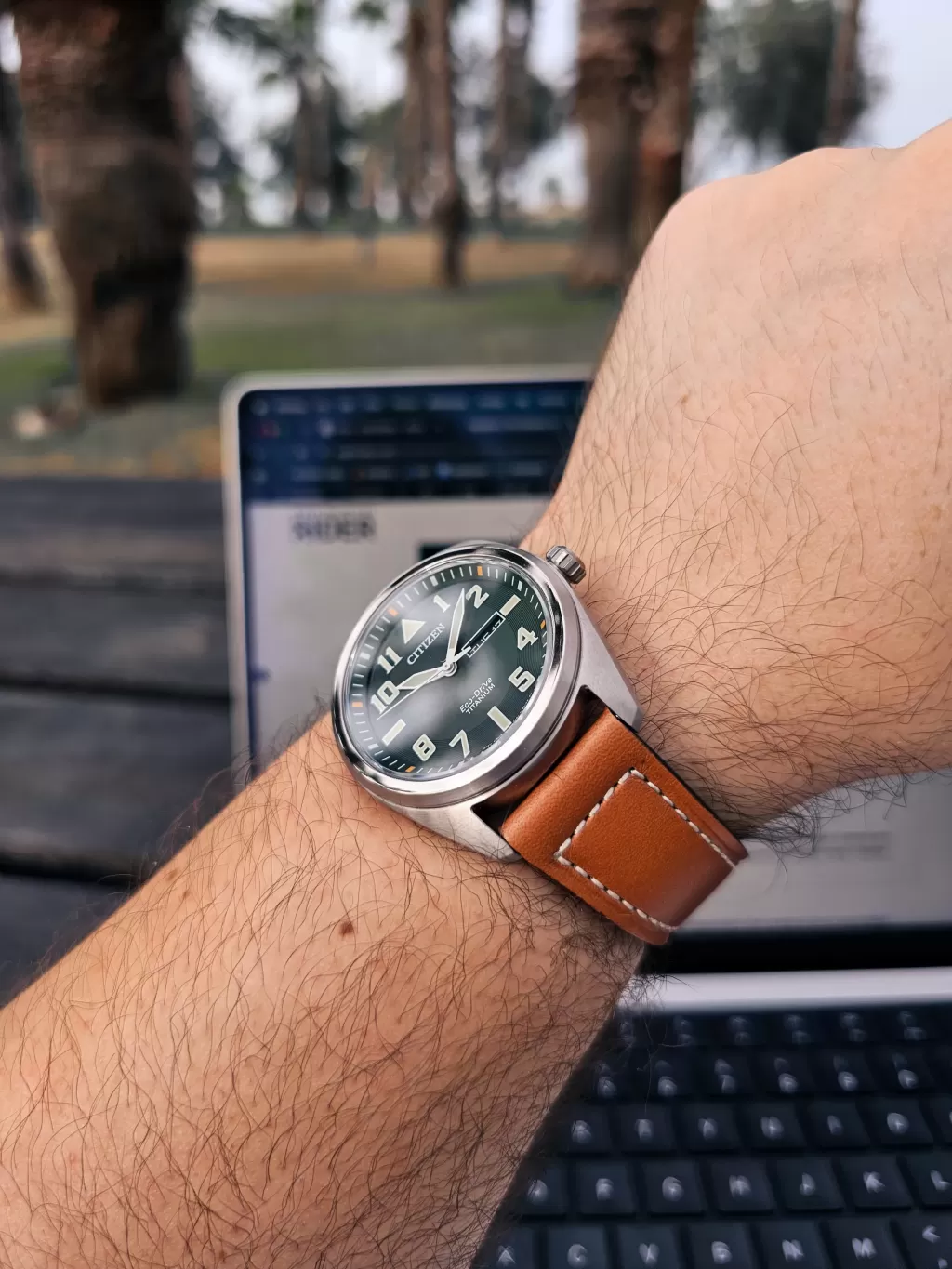 Citizen Garrison BM8560 Case