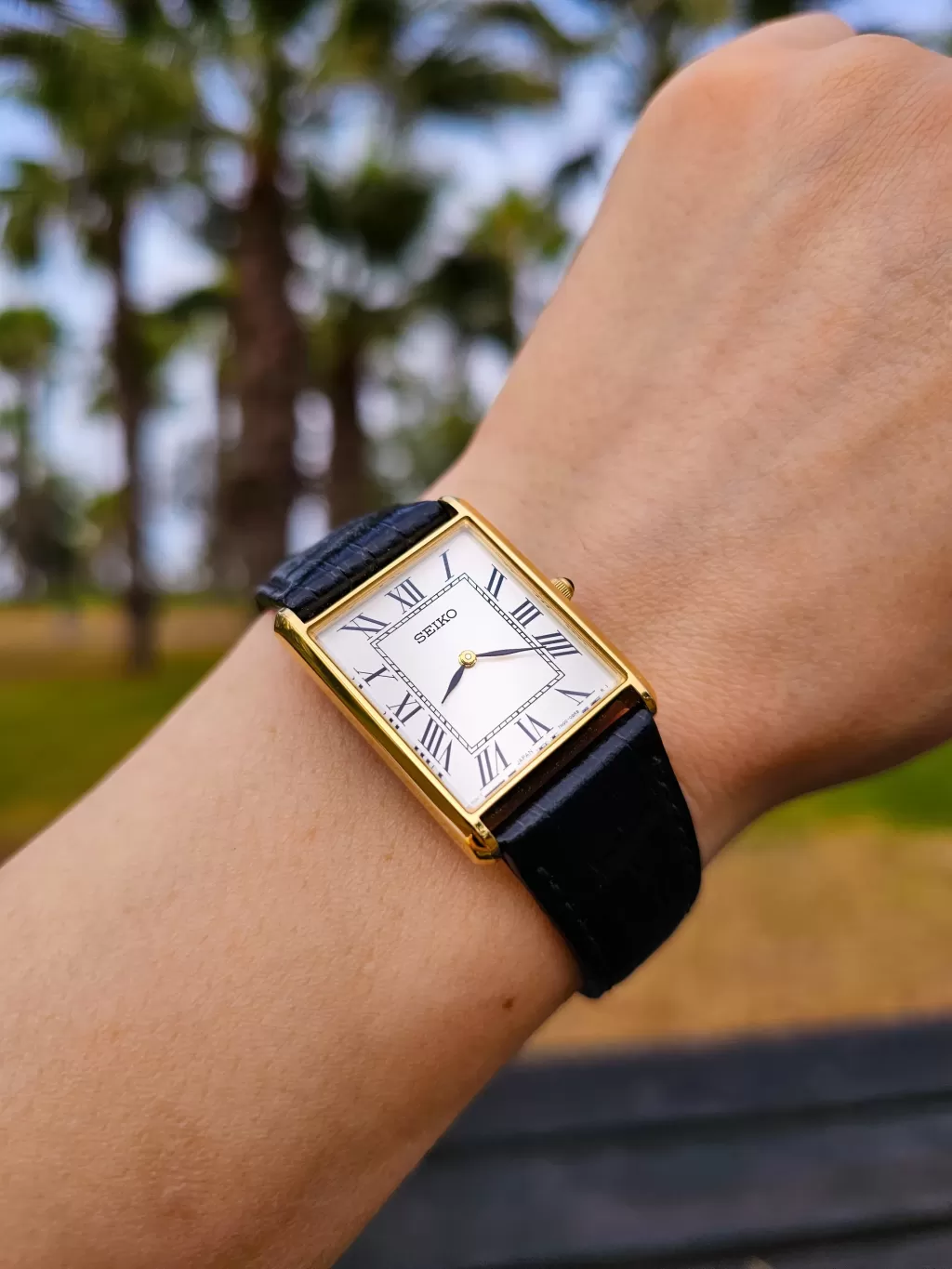 Seiko SWR104