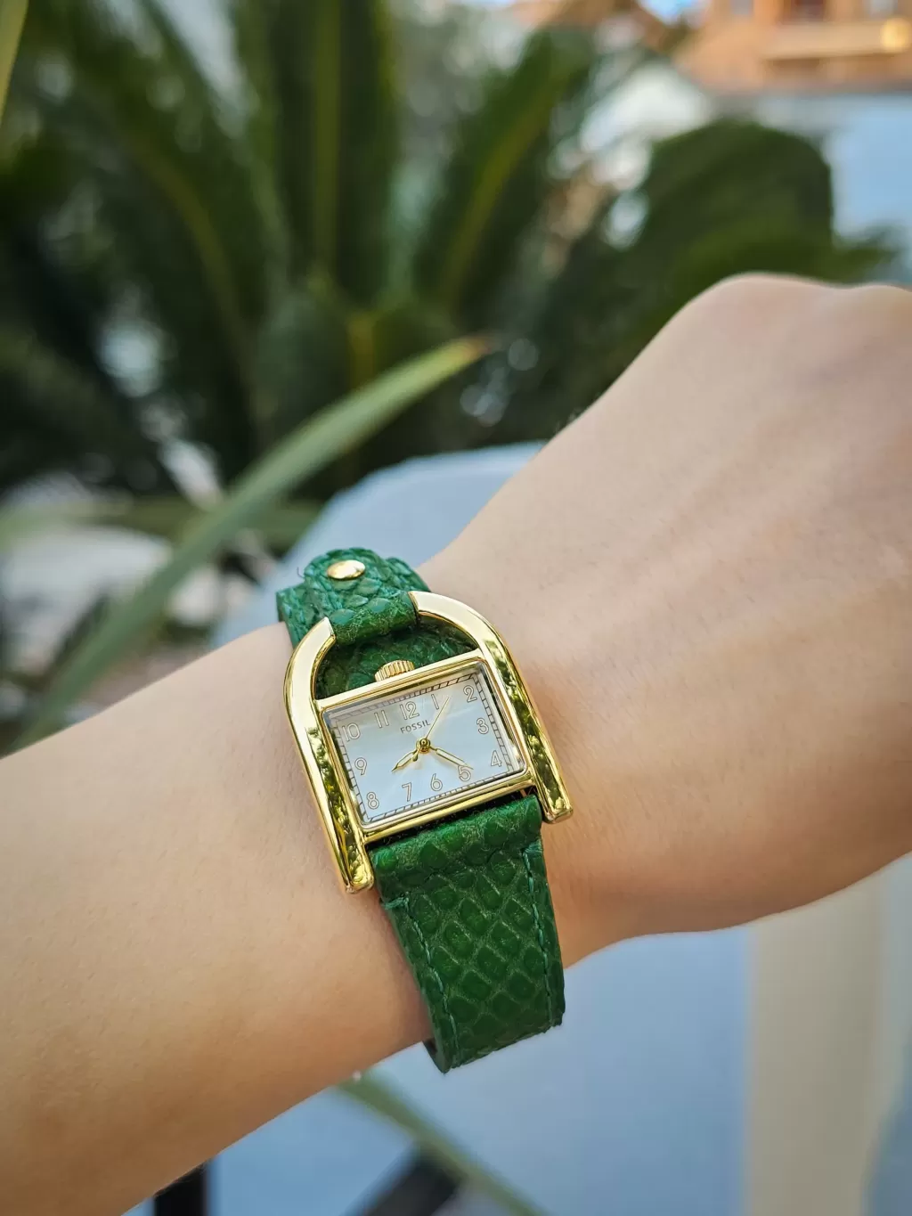Fossil Harwell Wrist Shot