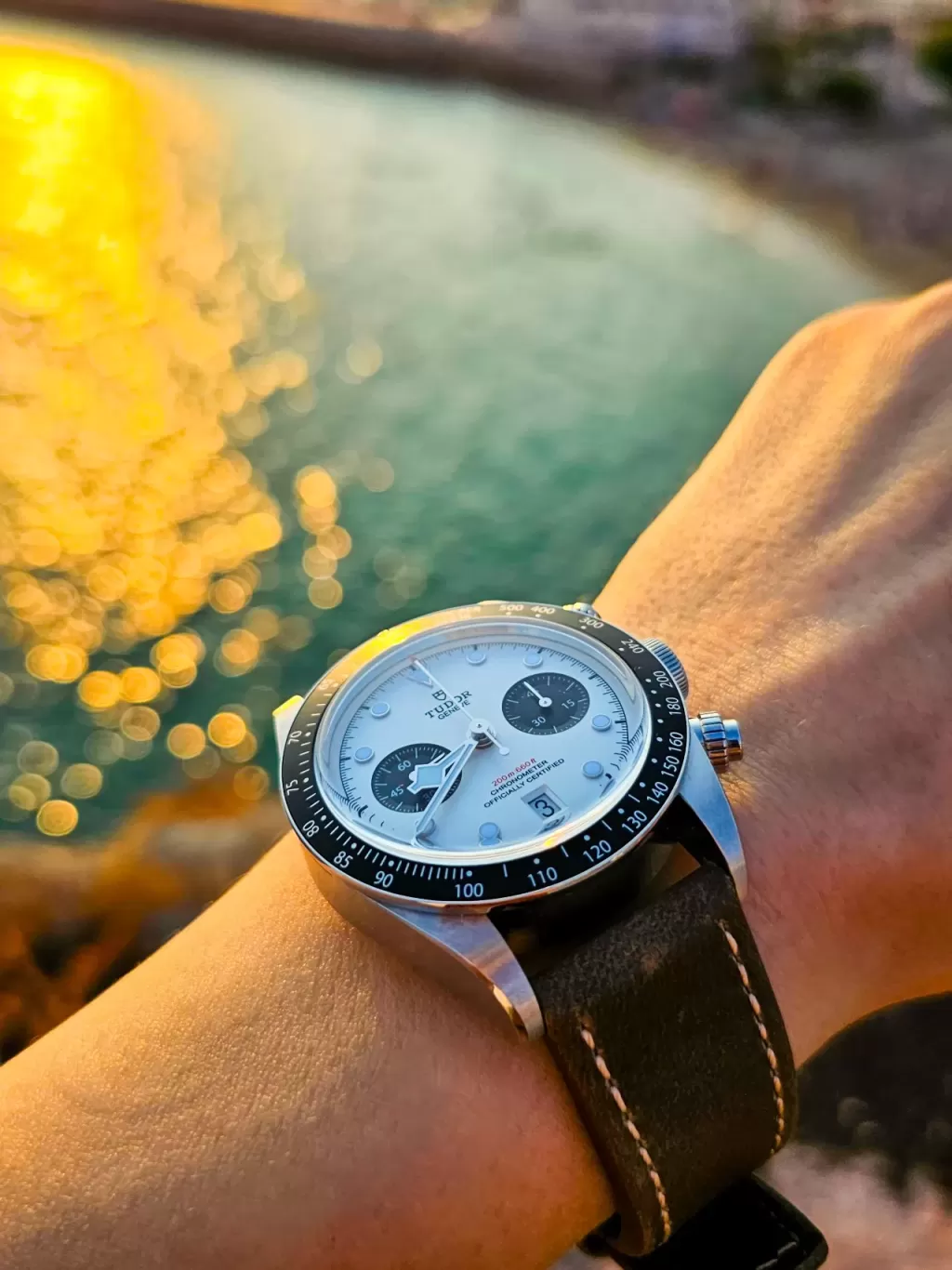 Tudor Black Bay Chrono Panda M79360N Wrist